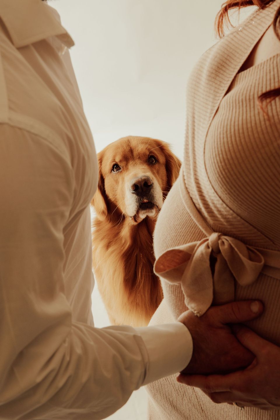 Il cane appoggiato al pancione della padrona