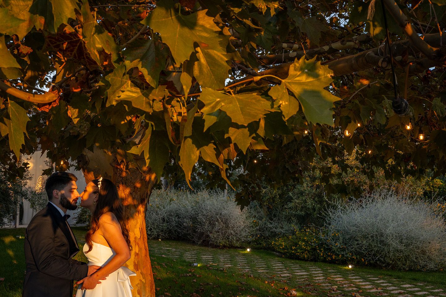 Gli sposi giardino luci albero