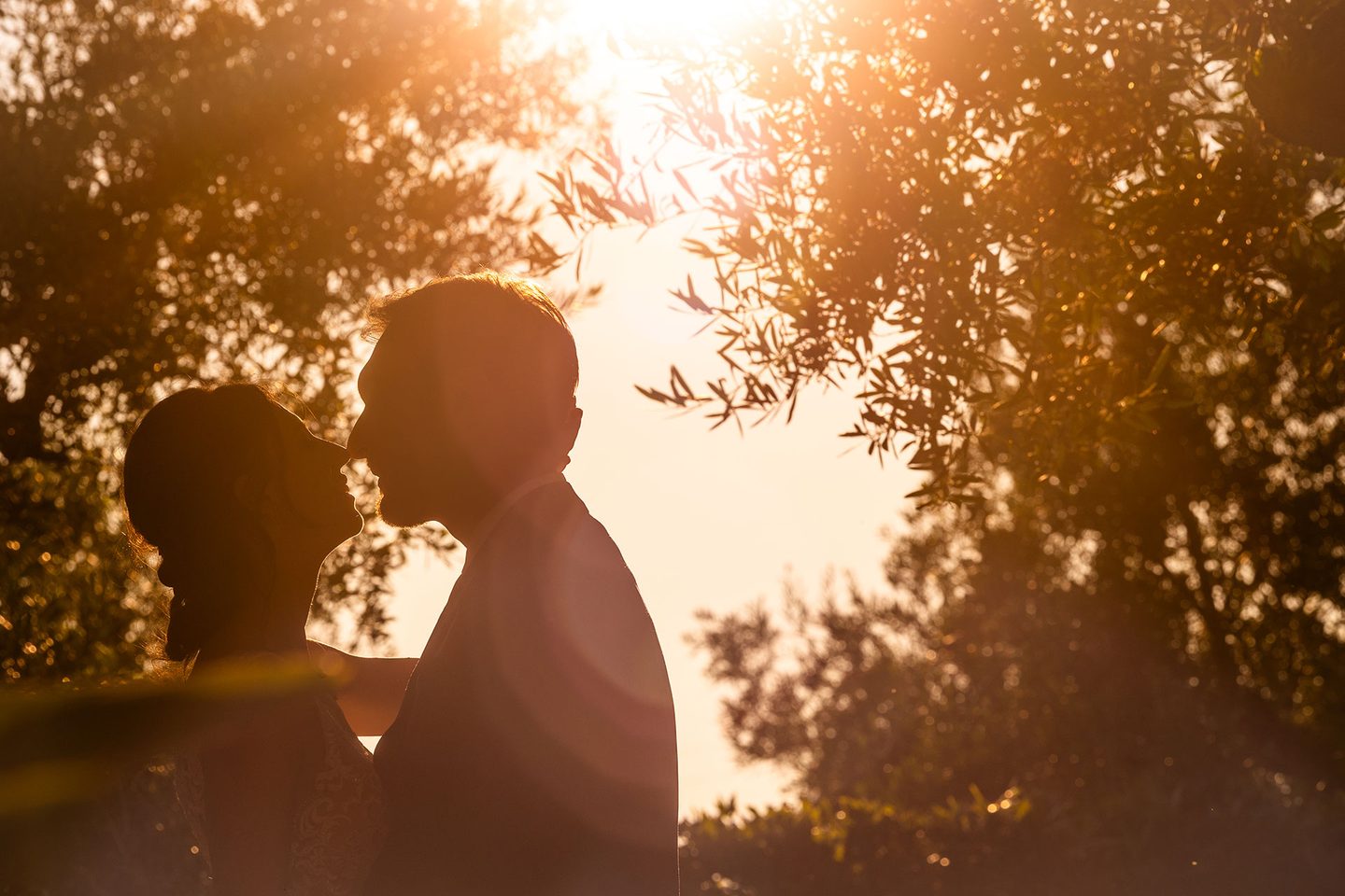 Gli sposi silhouette ulivi