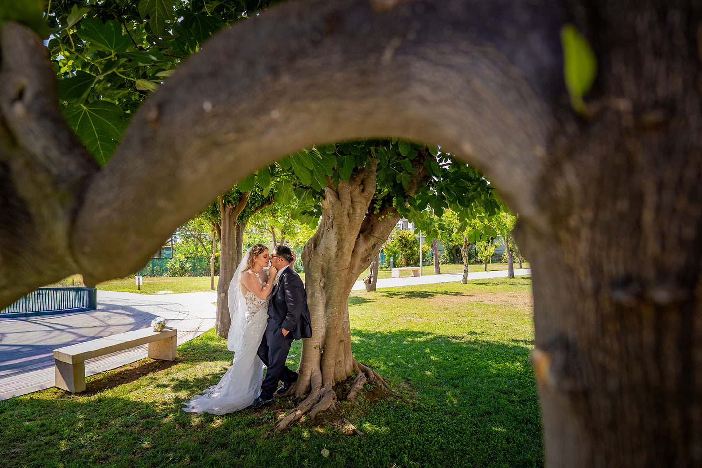 Gli sposi ulivo giardino